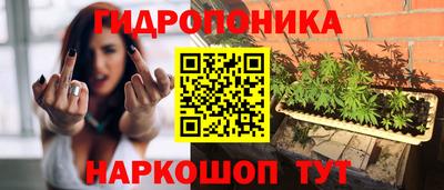 прущие крисы Нарткала