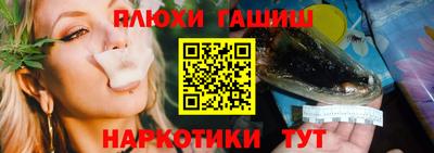 гидра Новодвинск
